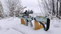 Wild boar custom 308win