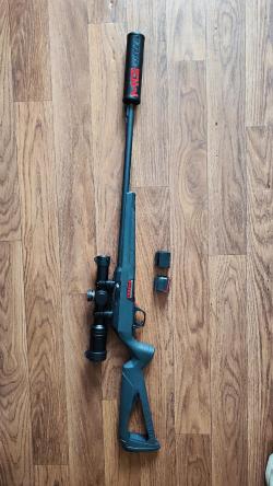 Winchester Wildcat 22Lr