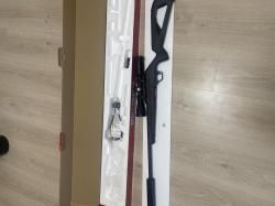 Winchester Wildcat .22LR