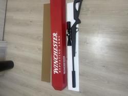 Winchester Wildcat .22LR