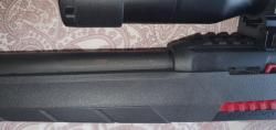 Winchester WildCat .22LR