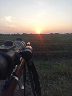 YUKON SIGHTLINE N475S