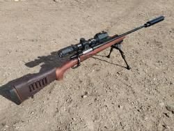Zastava 308Win