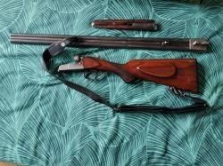 ЗАУЭР четыре кольца