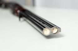 Зауэр Фраччи Фаворит