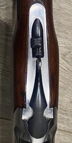 Зауер Миллениум 