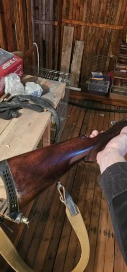 Заур три кольца