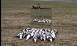 Зеркальный скрадок