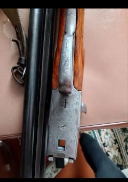 Зимсон 