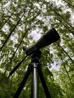 Зрительная труба Kowa TSN-99A + TE-11WZ II (комплект 630 000 руб.)