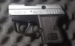 ZVI WASP R (9 P.A.)