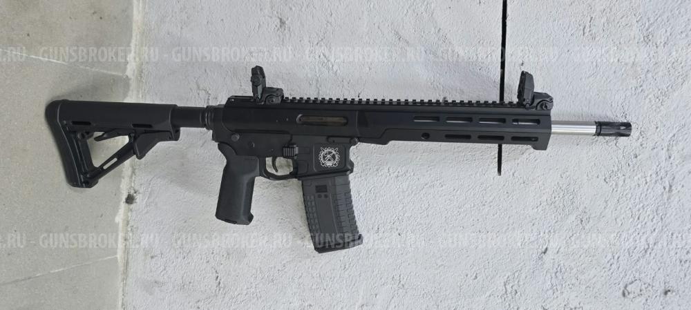 AR 15