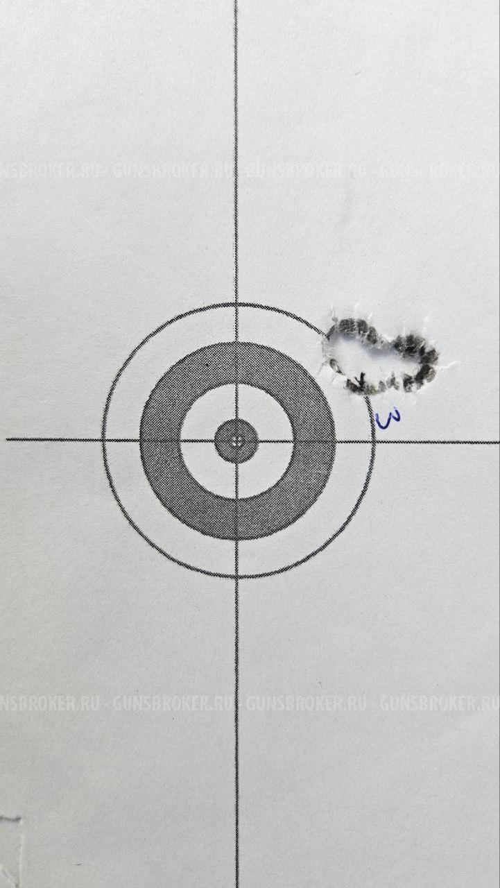 ATA Arms ALR 308 win