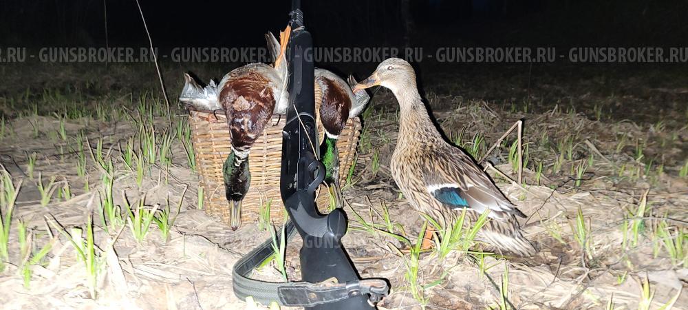 Ata Arms Companion E