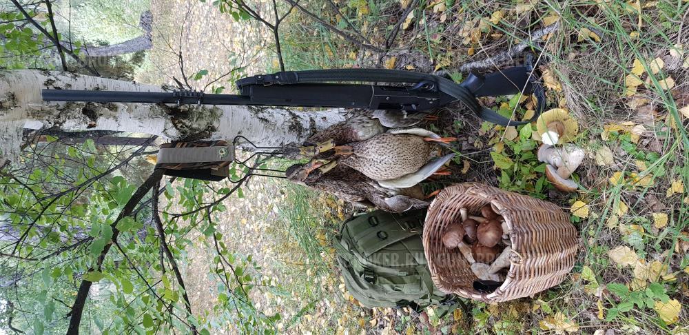 Ata Arms Companion E