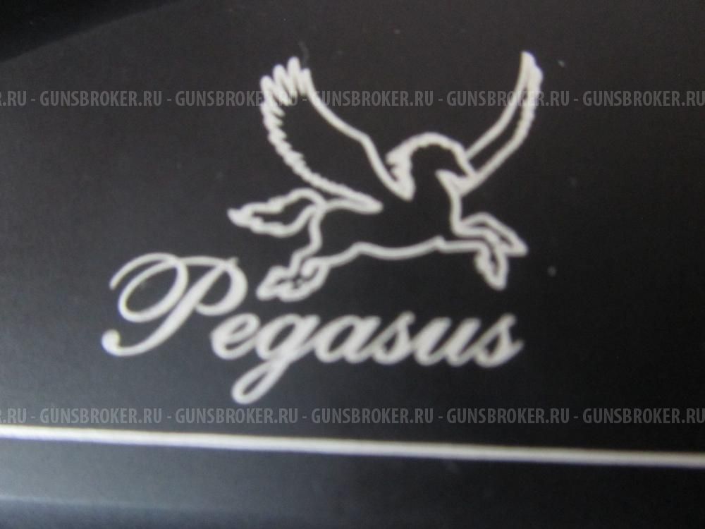 ATA ARMS PEGASUS COMBO (2 ствола в комплекте + фирменный кейс)