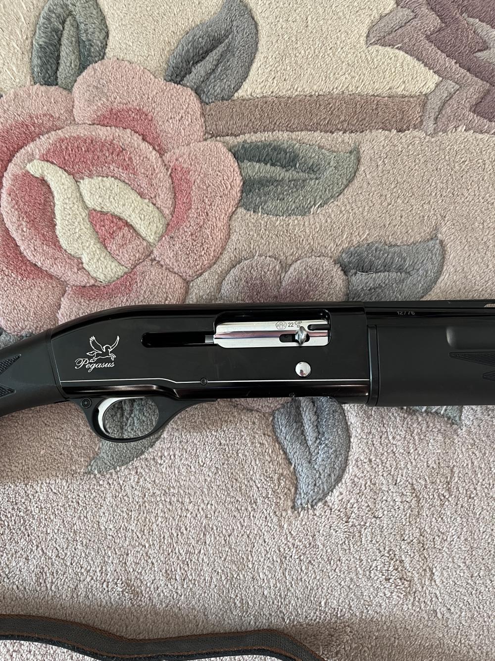 ATA Pegasus12х76, 710 мм