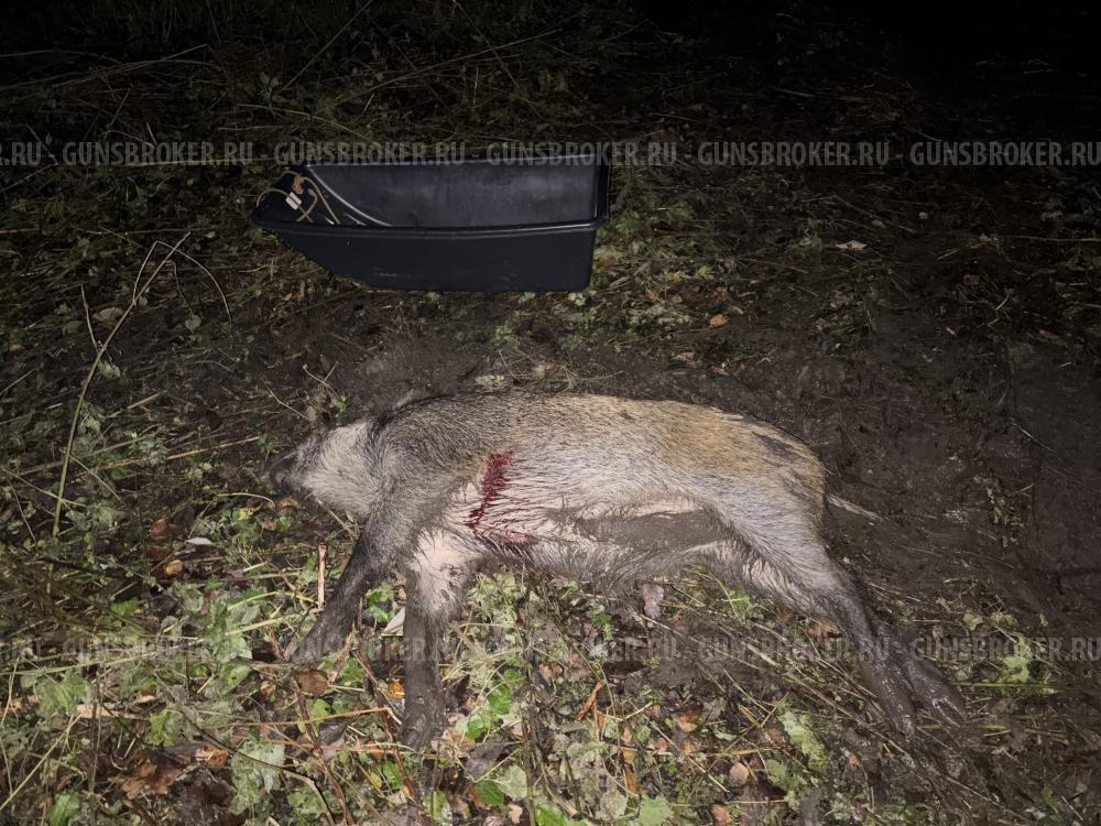 Baikal Лось 145 .308 win