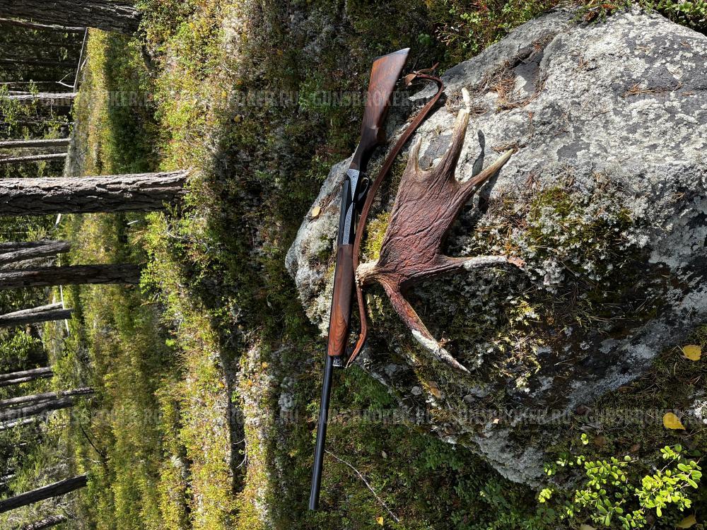 Benelli Rafaello elegant