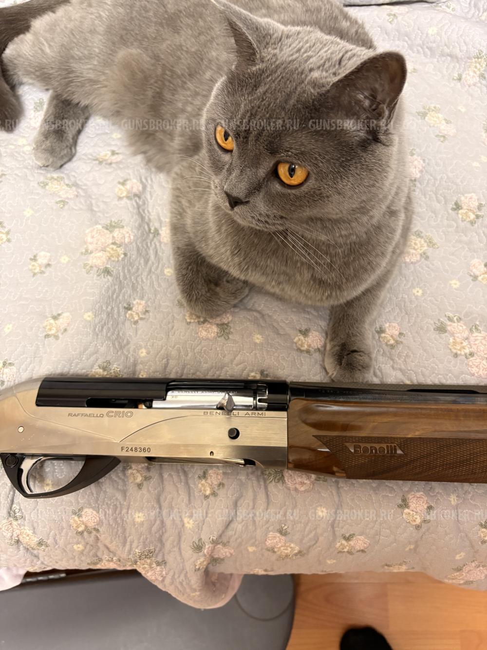 benelli raffaello crio 12/76