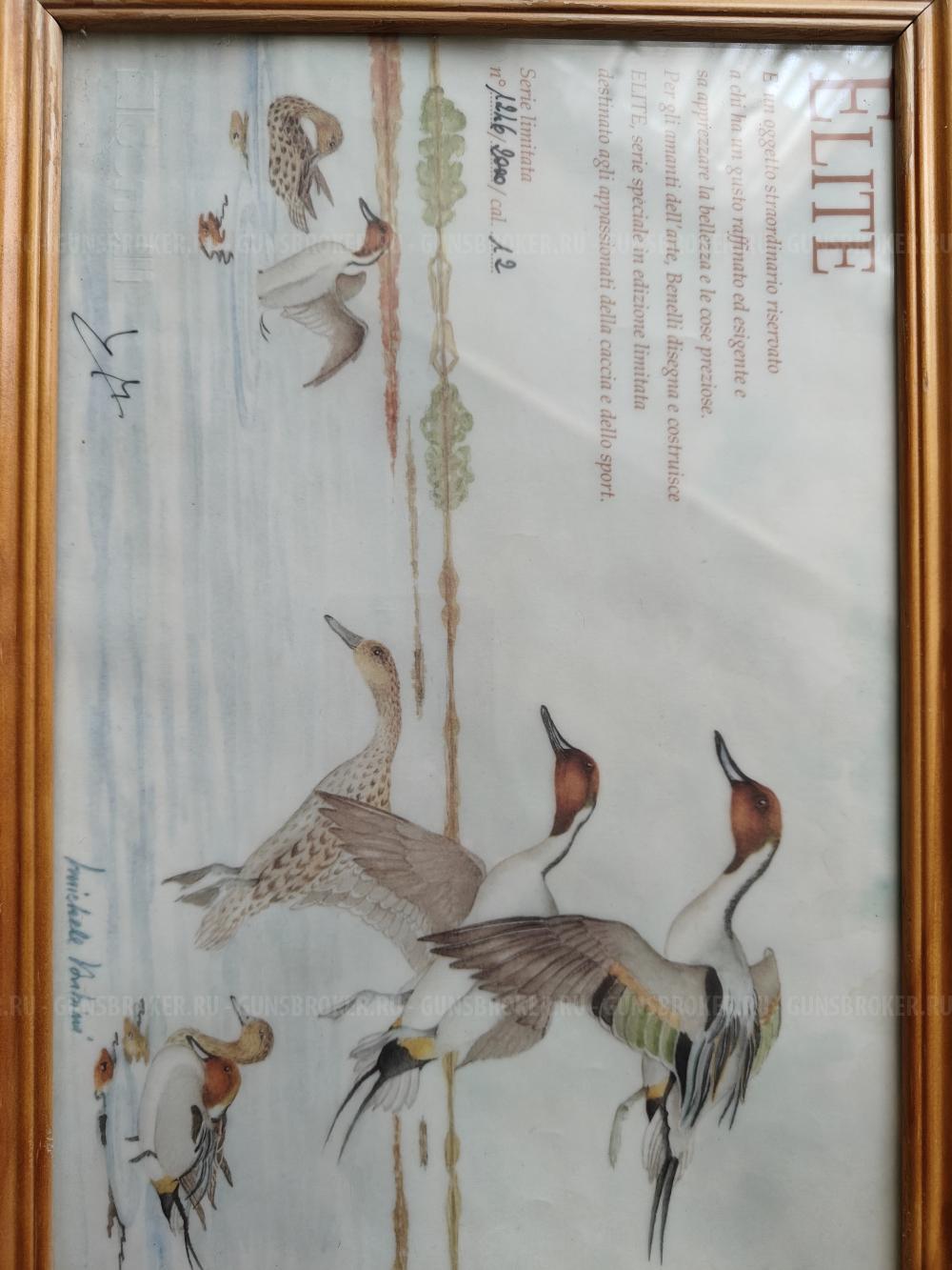 Benelli Raffaello Elite