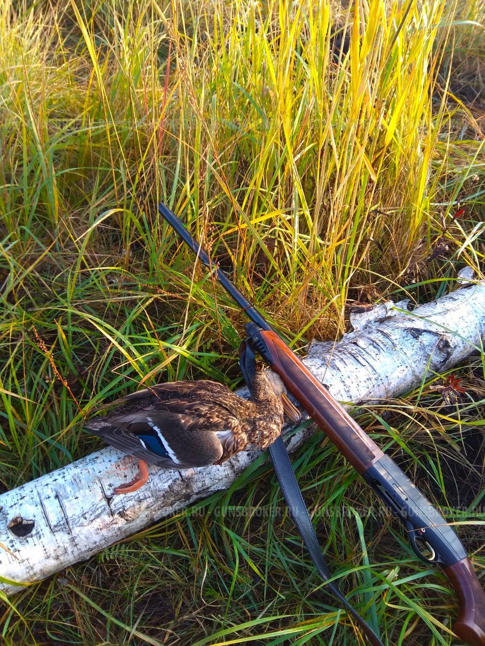 Беретта А 390