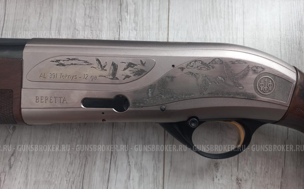 Beretta AL391 Tekhys