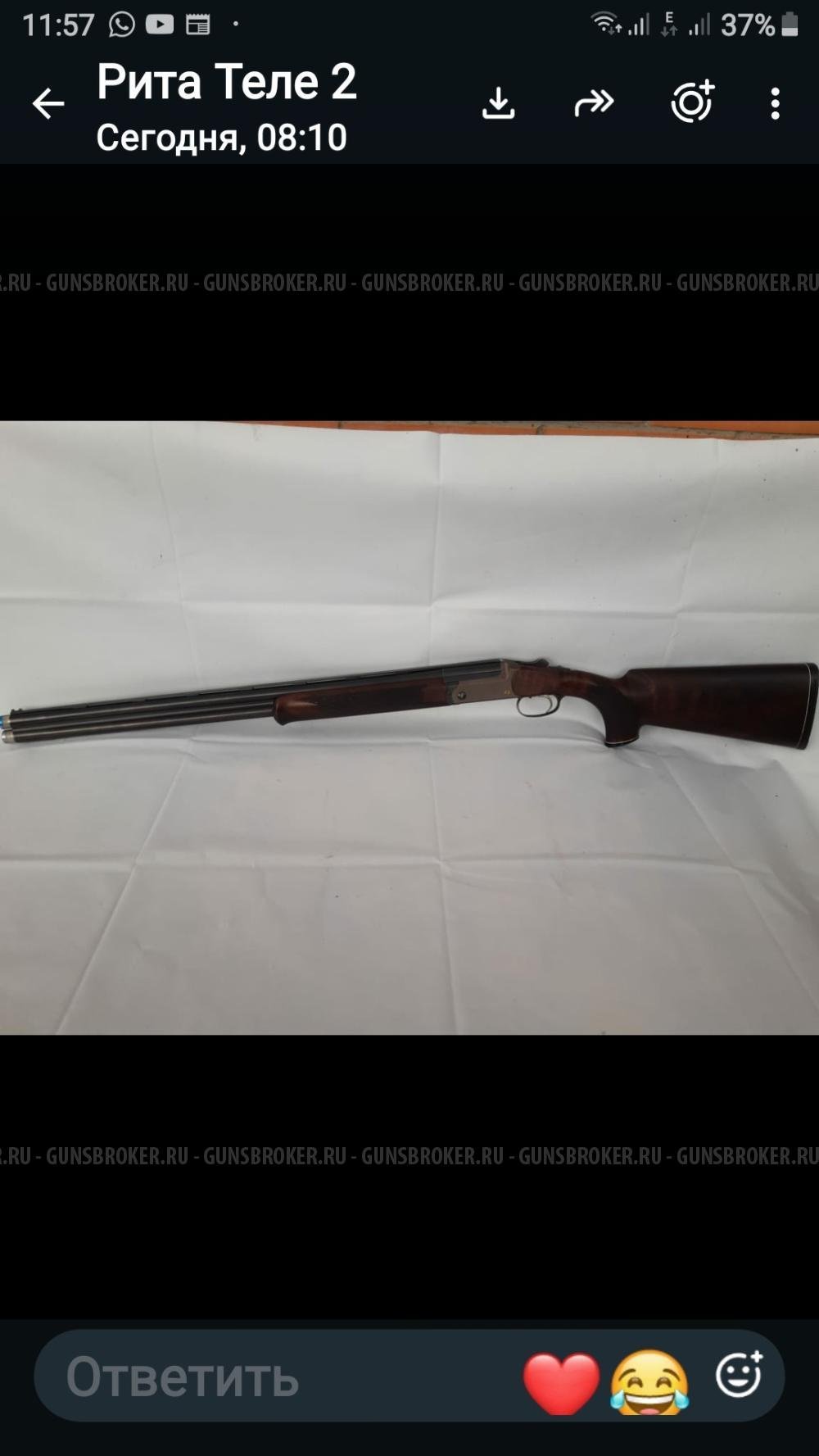 Blaser F3 Game