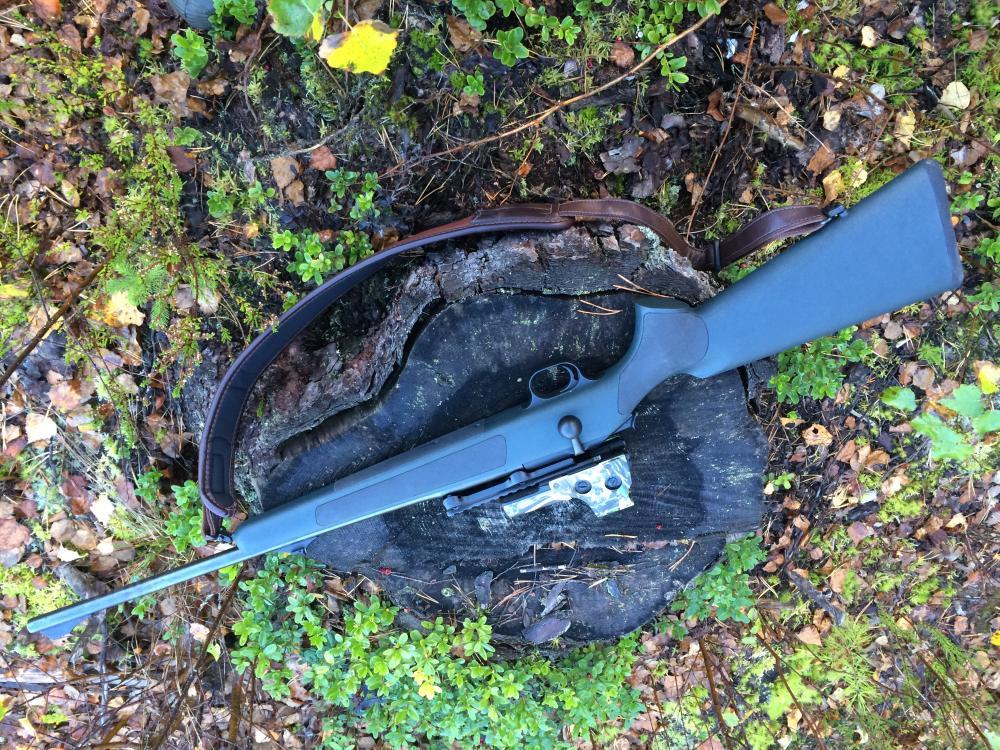 Blaser R 93
