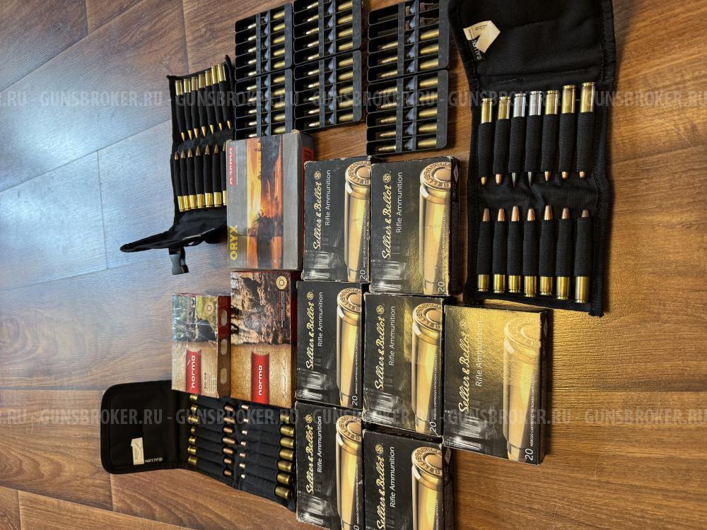 Blaser R8 Professional SUCCESS кал. 30-06