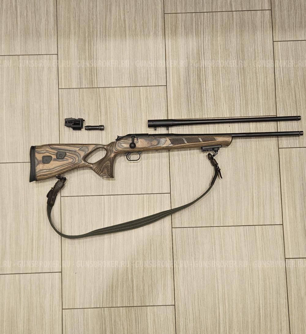 Blaser r93 30-06, 223