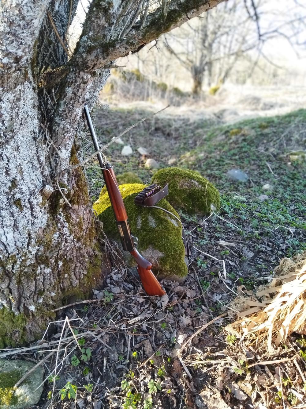 Browning auto-5