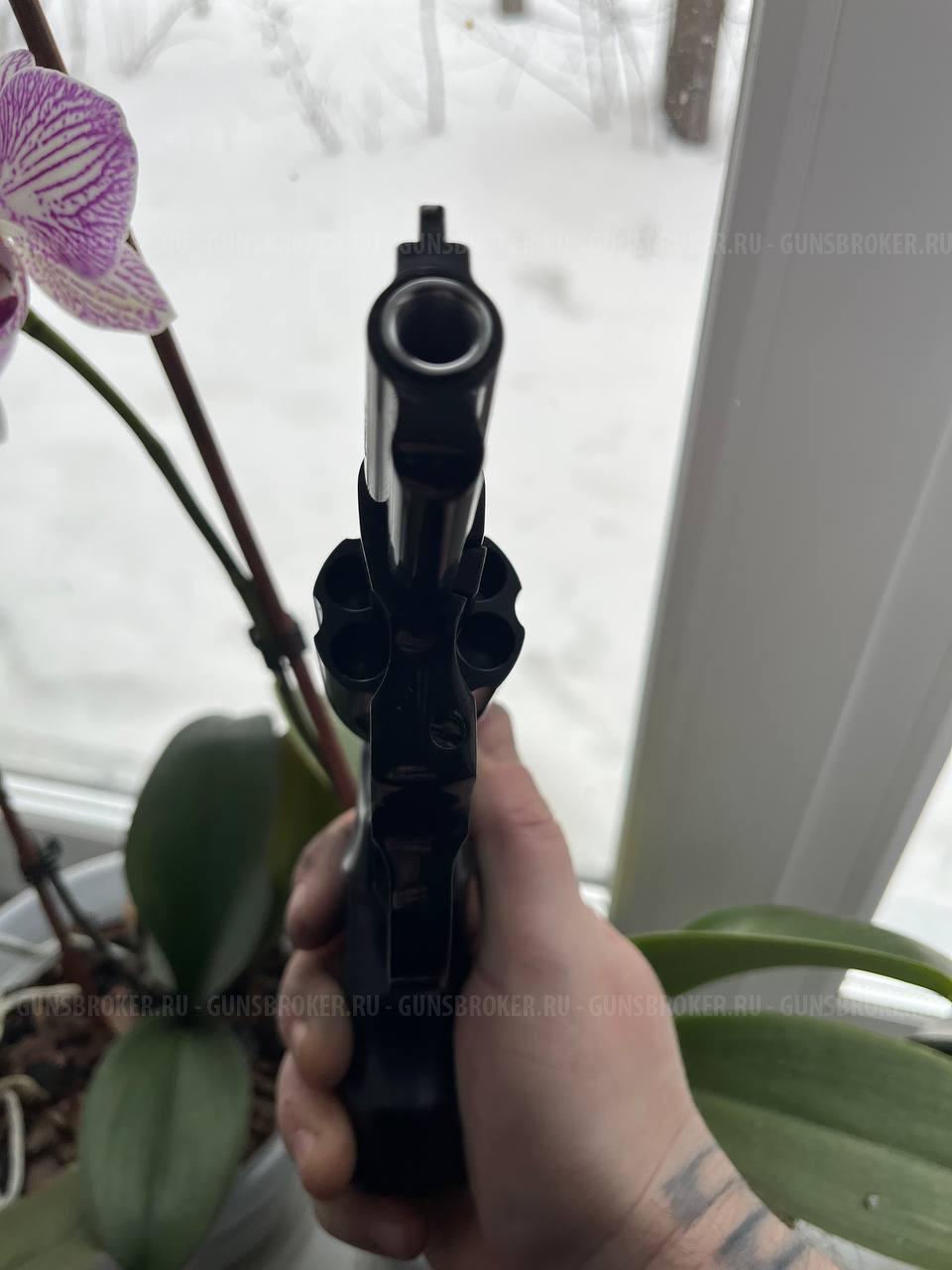 Бульдог курс