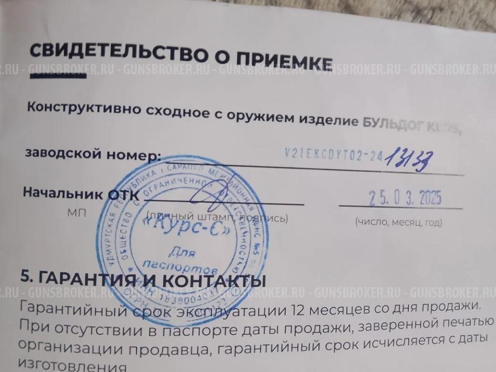 Бульдог Курск