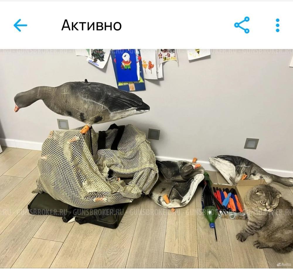 Чучела белолобого гуся