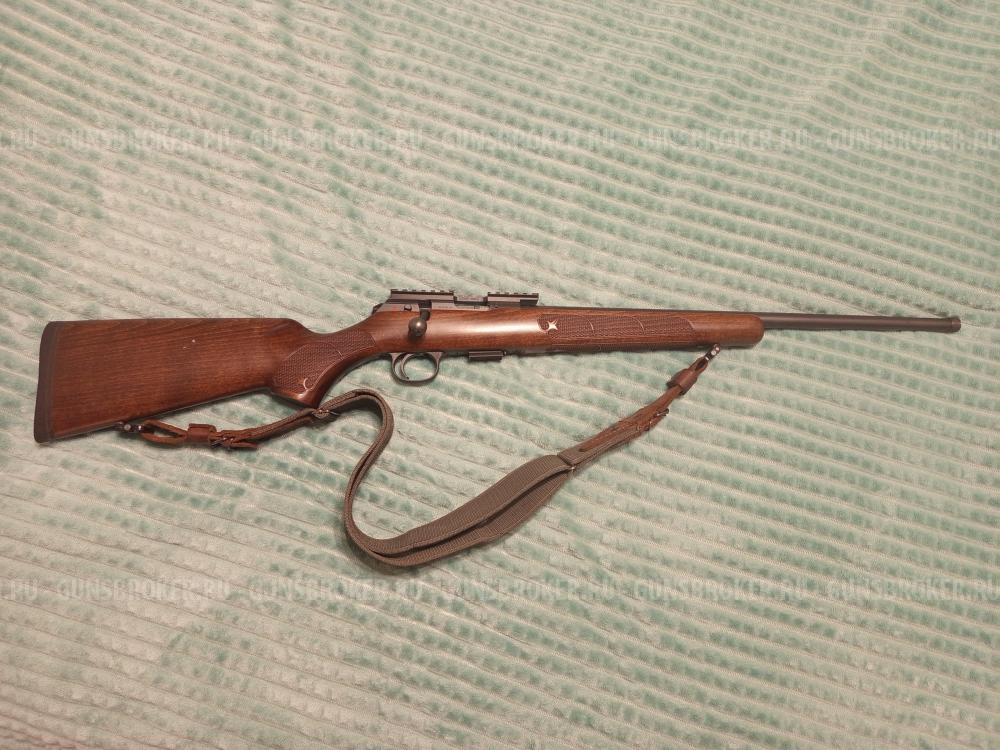 CZ-457 American beech