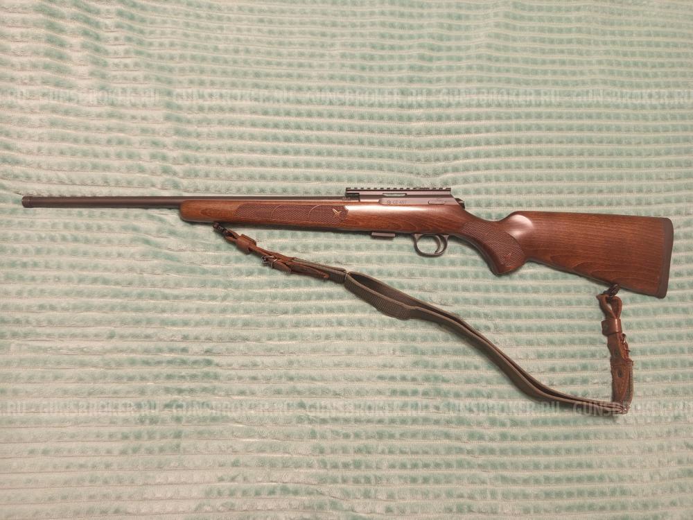 CZ-457 American beech