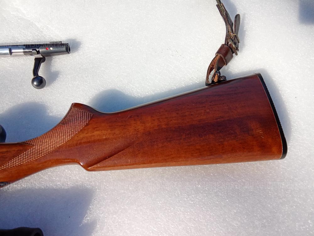 Cz 550 standard 