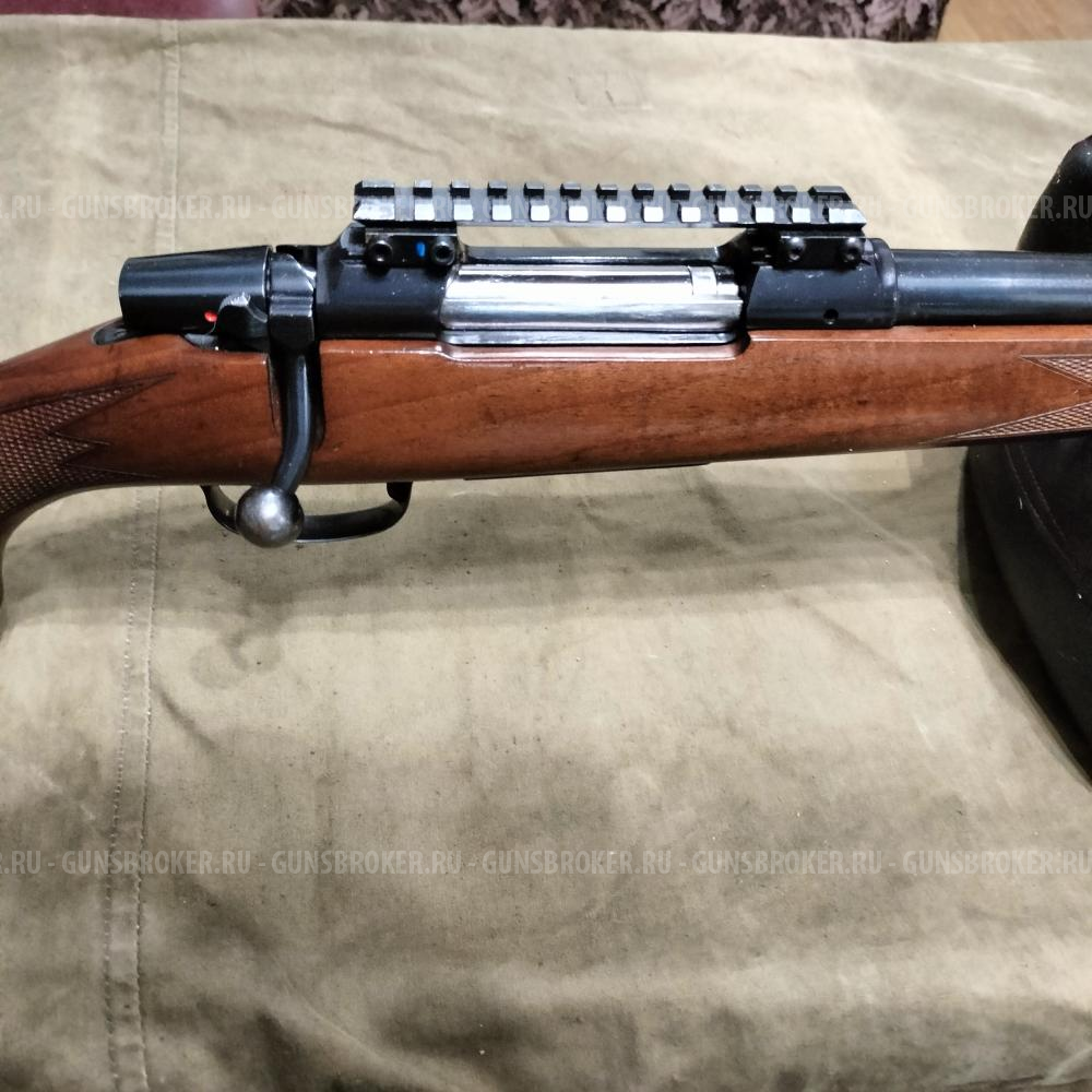 cz 550 varmint 308