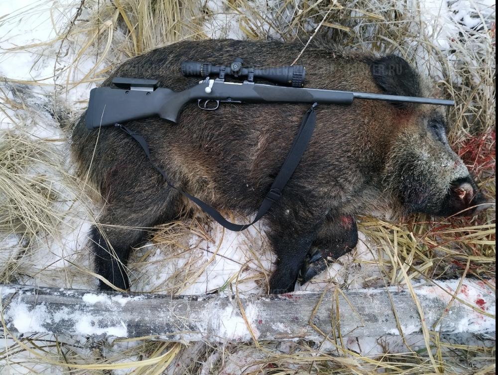 Cz527 Lux 223Rem/ЧЗ 527 223 калибр 