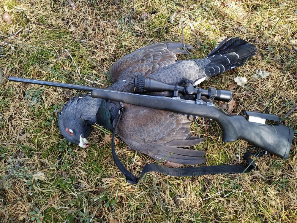 Cz527 Lux 223Rem/ЧЗ 527 223 калибр 