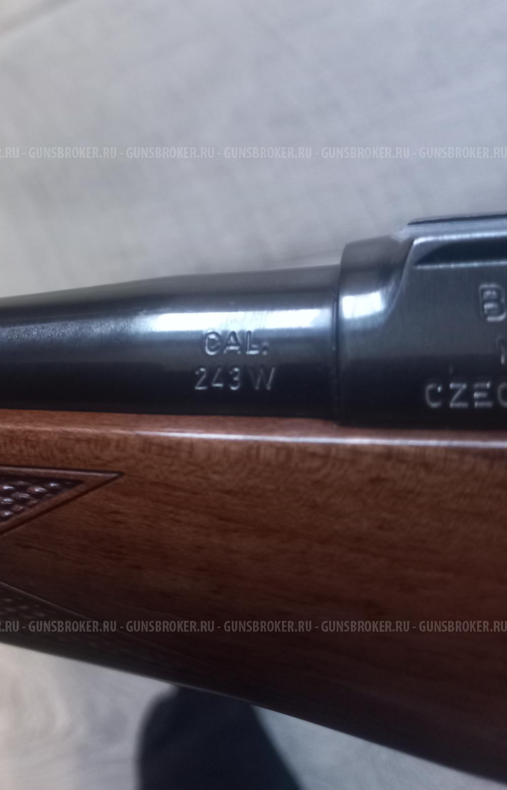 CZ550 243Win