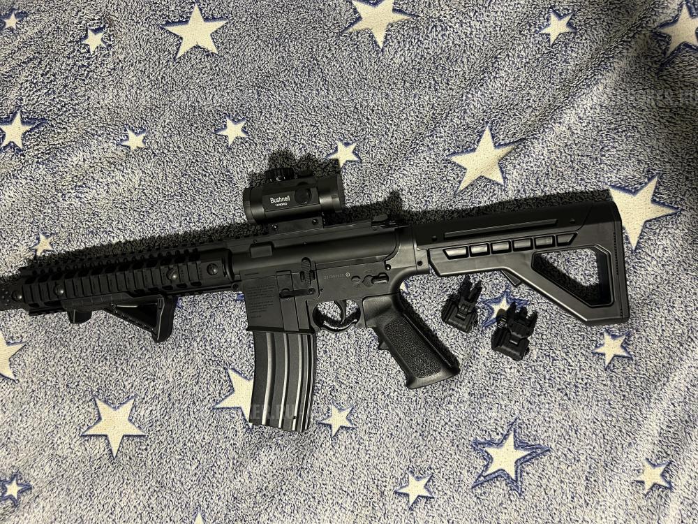 DPMS