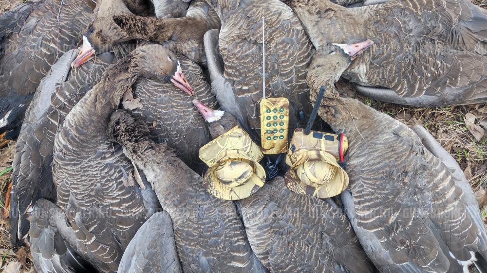 Электроманок Минск 1 NEW уже с 2 усилителями.