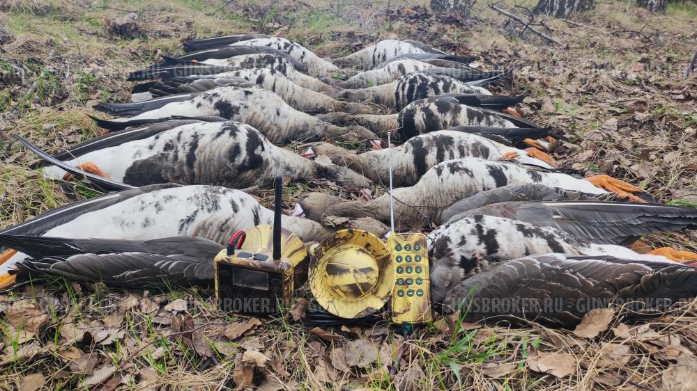 Электроманок Минск 1 NEW уже с 2 усилителями.