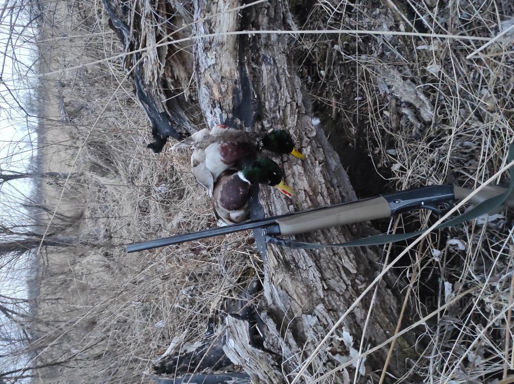 Фабарм хлр Италия