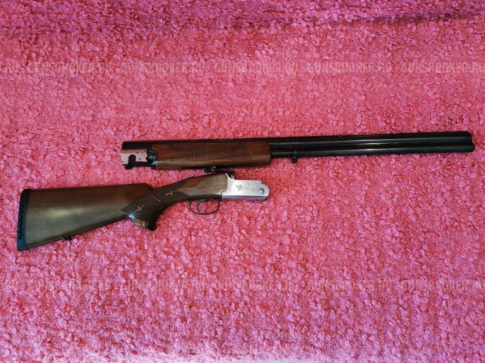 Fausti Stefano albion 