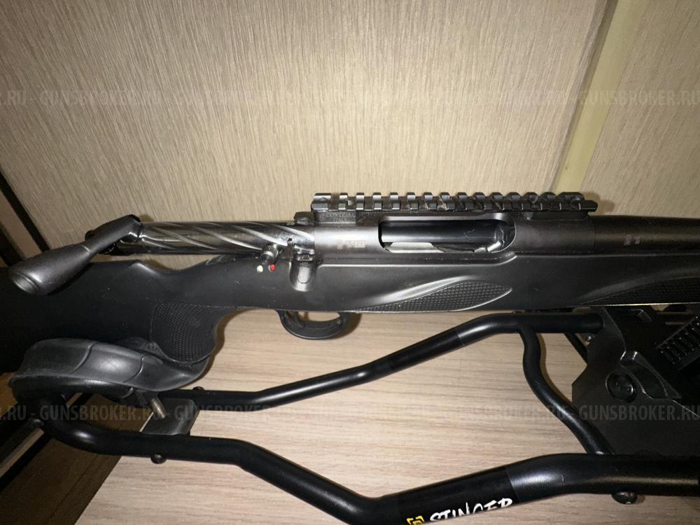 FRANCHI HORIZON 243 win