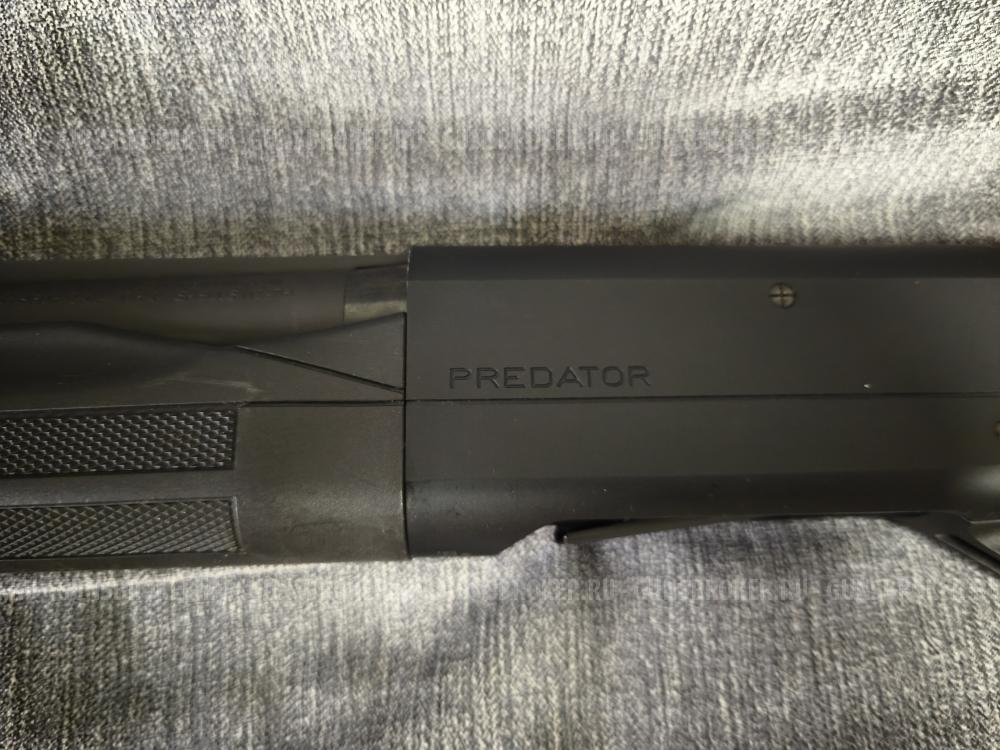 Franchi interia predator