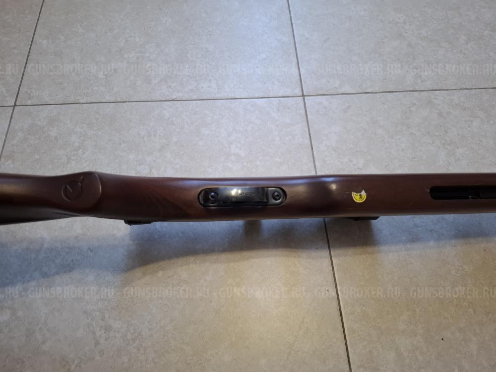 GAMO cfx royal
